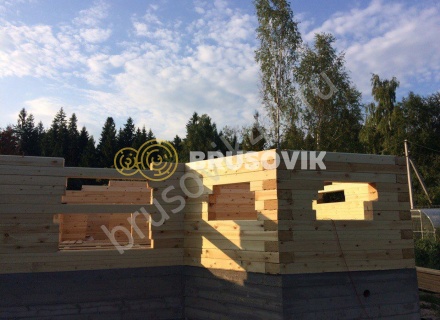 Дом из профилированного бруса