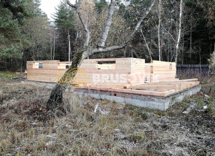 Дом 10х11 из профилированного бруса 145х195 мм