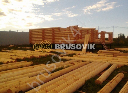 Дом из бревна 