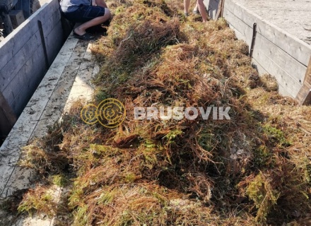 Баня 6х9 м в полтора этажа из строганного бревна ручной рубки в д. Никитское, городской округ Истра, Московская область