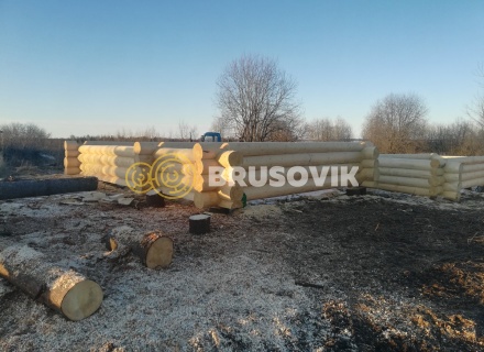 Баня 6х9 м в полтора этажа из строганного бревна ручной рубки в д. Никитское, городской округ Истра, Московская область