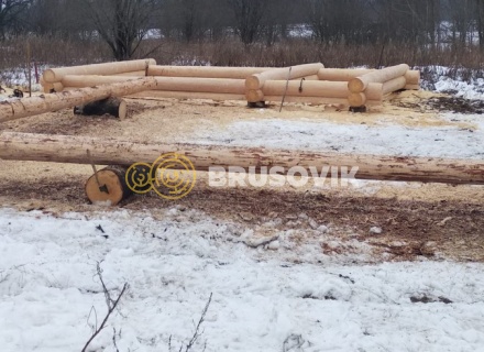 Баня 6х9 м в полтора этажа из строганного бревна ручной рубки в д. Никитское, городской округ Истра, Московская область