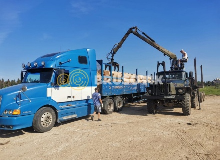 Баня 6х9 м в полтора этажа из строганного бревна ручной рубки в д. Никитское, городской округ Истра, Московская область